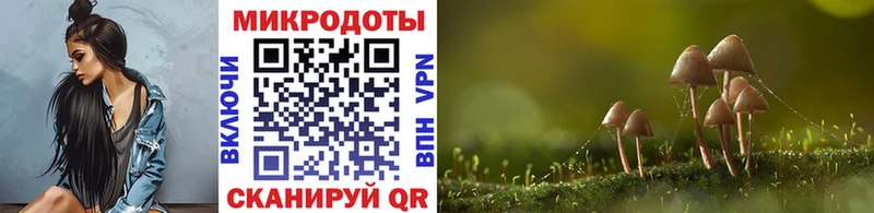 mega сайт  Сурск  мориарти клад  Галлюциногенные грибы MAGIC MUSHROOMS 